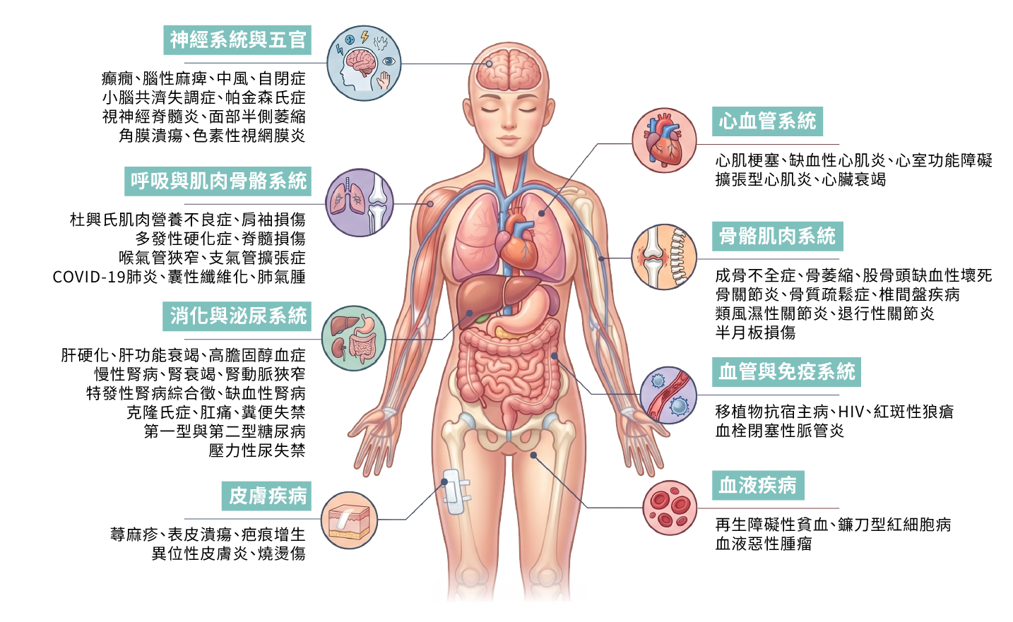 間質幹細胞的多種臨床應用