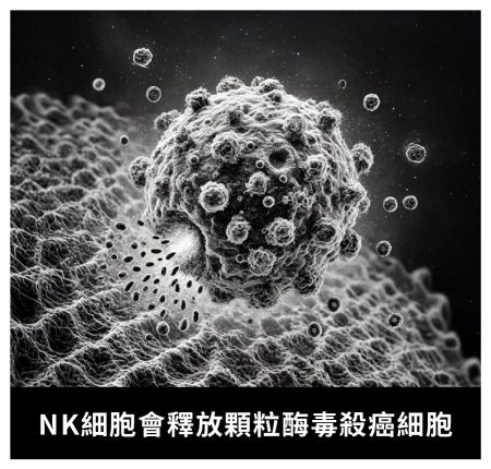 免疫細胞儲存NEW - 長春藤生物科技