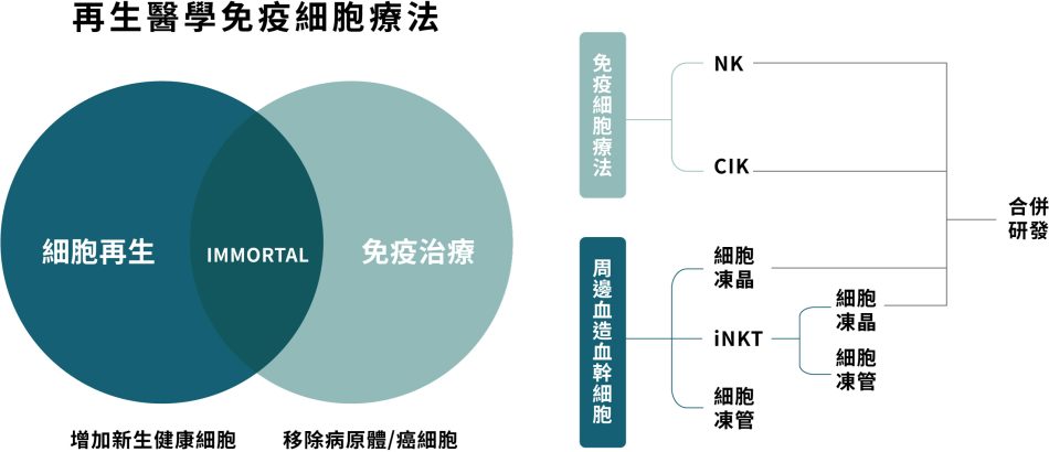 周邊血造血幹細胞儲存NEW - 長春藤生物科技